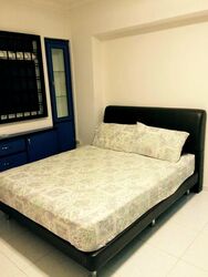 Blk 247 Compassvale Haven (Sengkang), HDB 4 Rooms #502089691